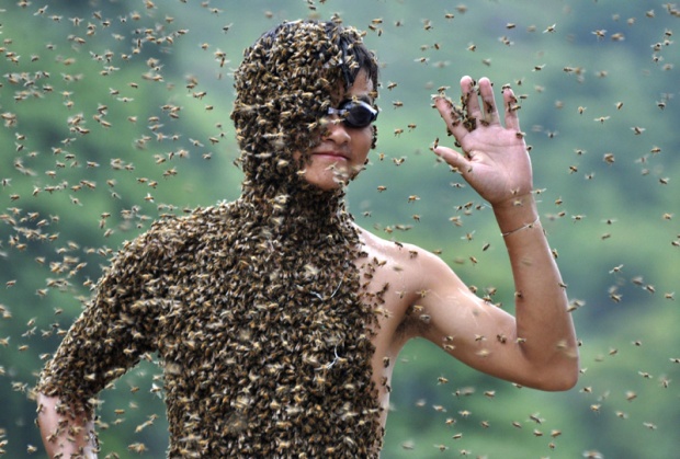 Кина - Такмичење пчелара