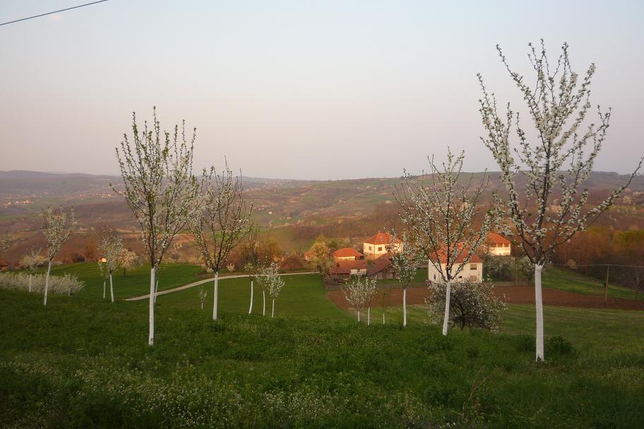 Колико годишње производи српски сељак