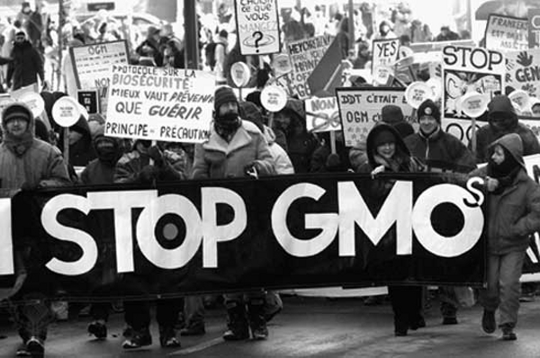 Донети закон о забрани ГМО у Србији