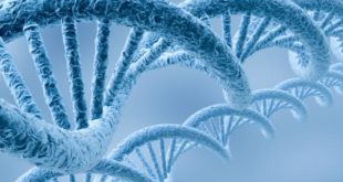 Тајанствени ланци ДНК који се уклапају са генима из других организама