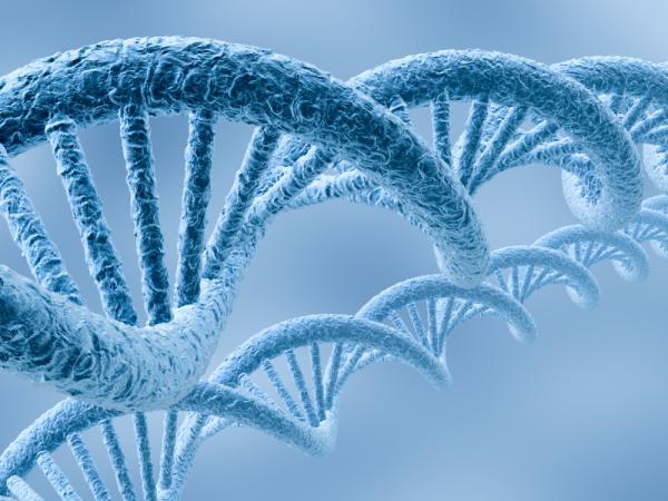 Тајанствени ланци ДНК који се уклапају са генима из других организама