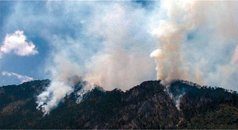 У пожарима изгорело 10.000 хектара шуме