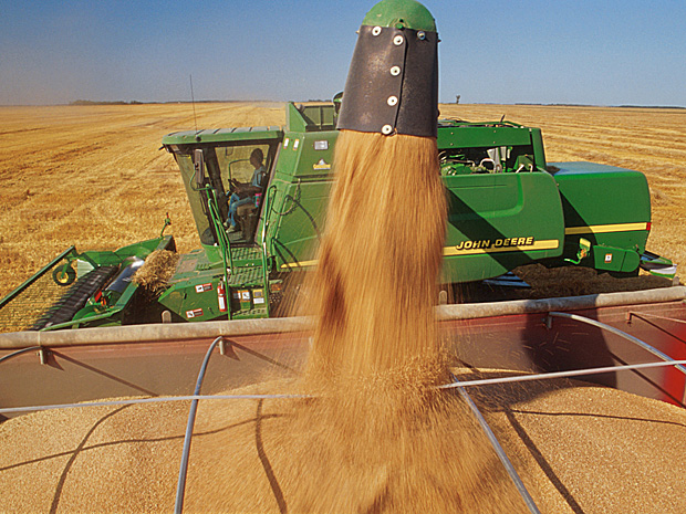 Рекорд у трговању пшеницом