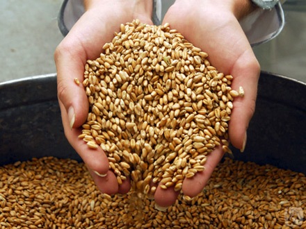 Огроман раст цене пшенице