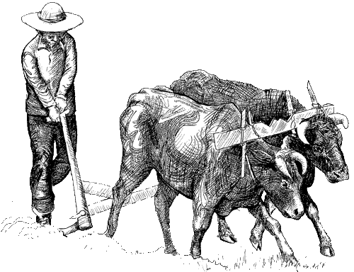 Попис пољопривреде после пола века