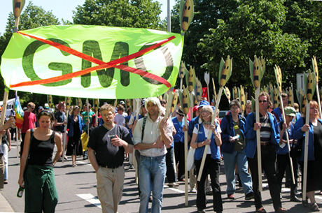 ЕУ се изјашњава о узгоју ГМО