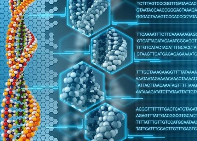 ДНК је хард диск будућности: 1 грам ДНК = 1.000.000 ЦД-ова