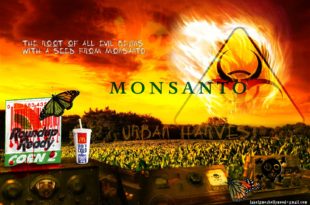 Влада легализује ГМО у Србији од 22. јануара