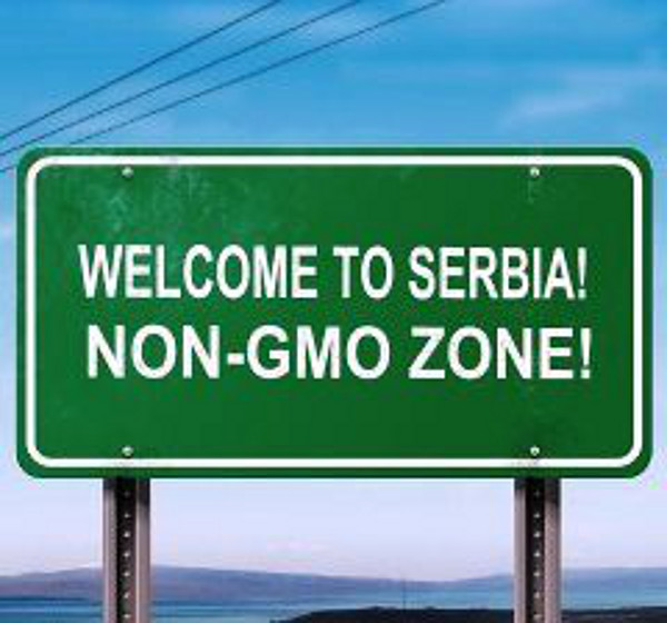Референдум о ГМО!? Тотална и комплетна забрана ГМО у Србији!