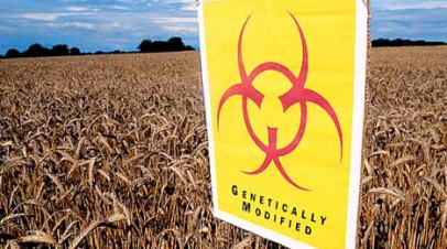 Србија током 2013. отвара врата за ГМО?