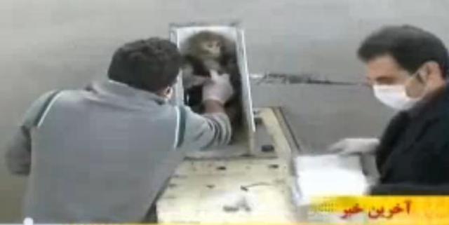 Иран послао мајмуна у космос