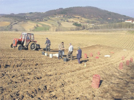 Србија саботира сопствени аграр