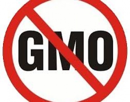 Општине против ГМО