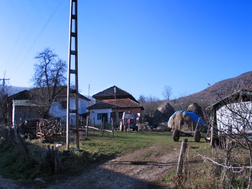 У Србији се пољопривредом бави свако четврто домаћинство