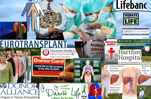 Трансплатација органа је за многе једини спас, а за неке друге извор огромних профита