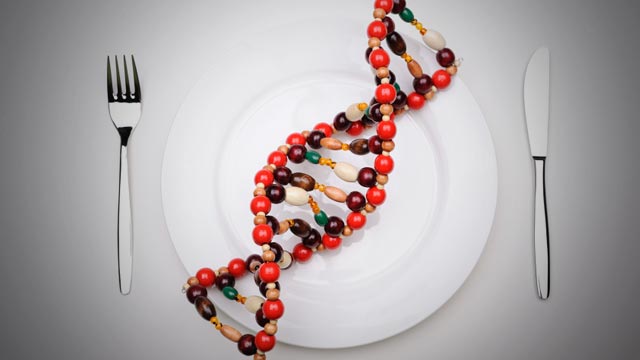 Генетичар Давид Сузуки: ГМО храна је масовни људски експеримент