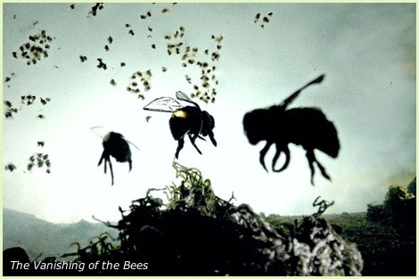 Американци запленили пчеле отпорне на Монсантов хербицид
