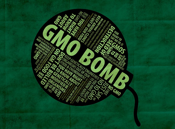 Борба САД и ЕУ око ГМО хране