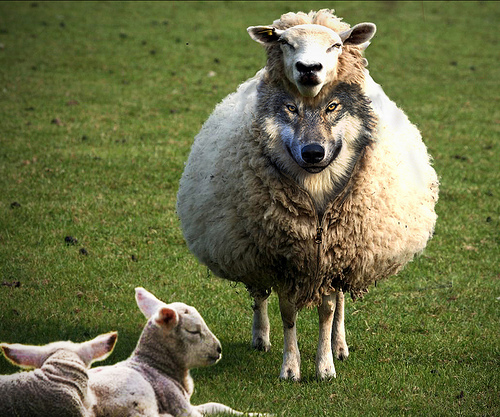 Овчице и Вучић