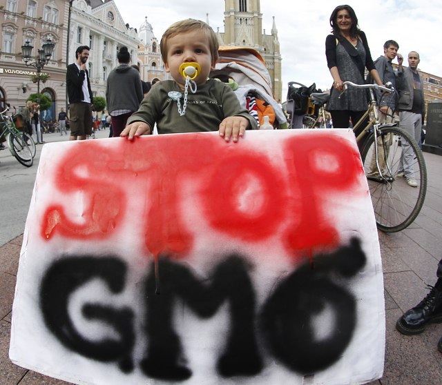 ГМО храном убијају и децу