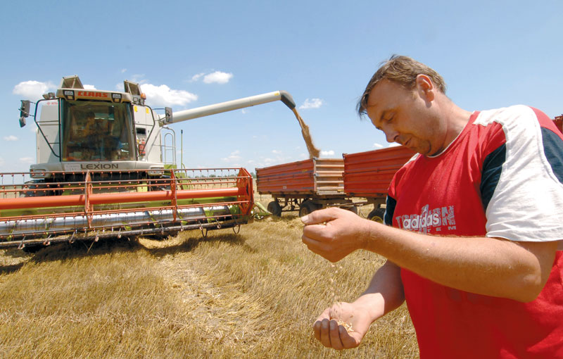 Очекује се род пшенице од 2,35 милиона тона