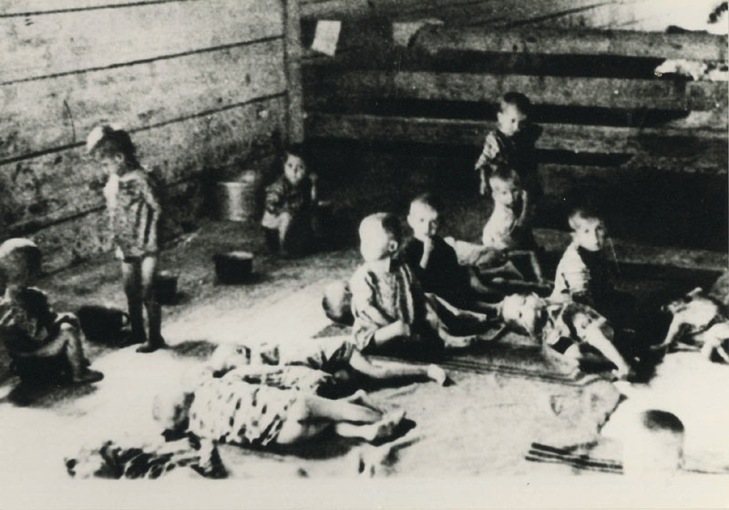 ЈАСТРЕБАРСКО – Једини концентрациони логор у НДХ који је формиран искључиво за децу