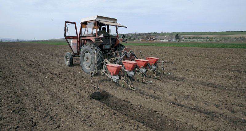 ОЕЦД: Србија да омогући странцима да купују пољопривредно земљиште
