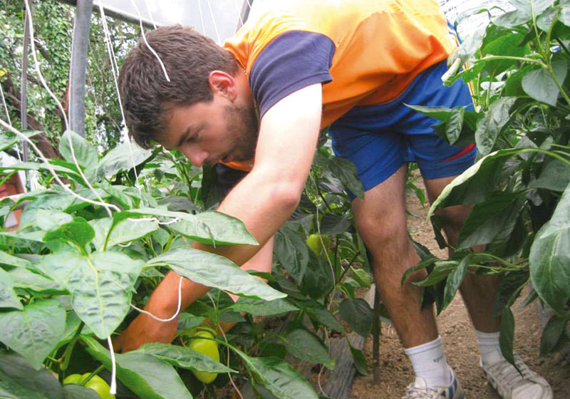Бањалука: Млади производе и донирају здраво поврће