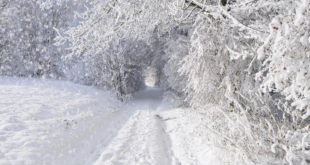 Bloomberg: Земљину северну полулопту очекује веома оштра зима