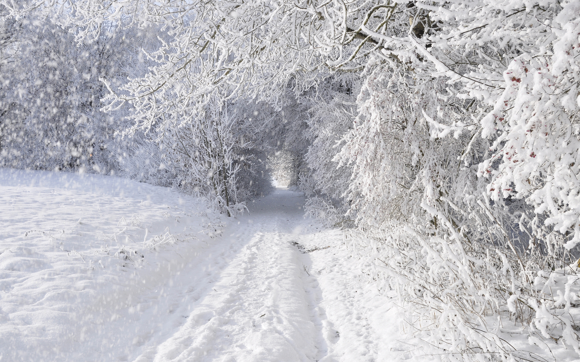 Bloomberg: Земљину северну полулопту очекује веома оштра зима
