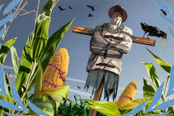Ко су све лобисти ГМО у Србији?