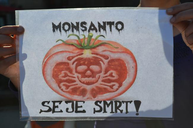 Највећи светски ГМО тровач "Монсанто" у финансијским проблемима, отпушта преко 2.600 радника