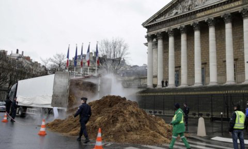 Француз истоварио 20 тона коњске балеге пред парламент