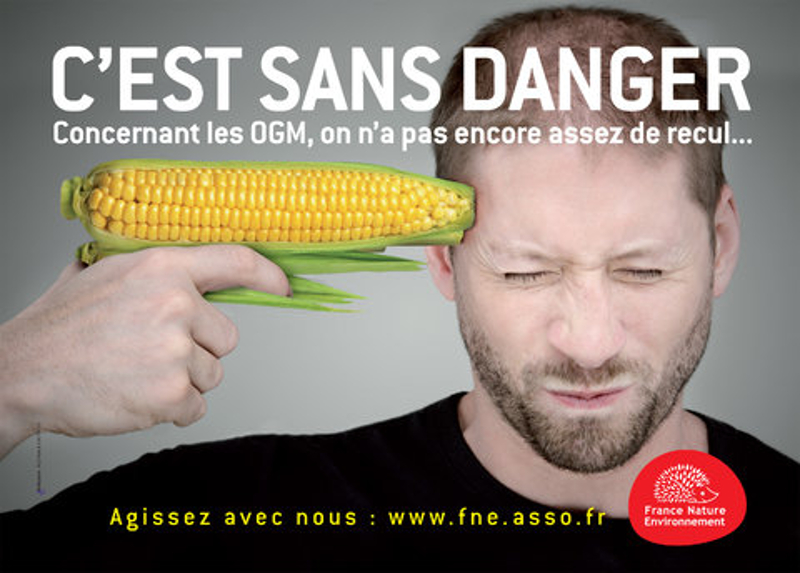 Француска декретом забранила сеjања ГMO кукуруза