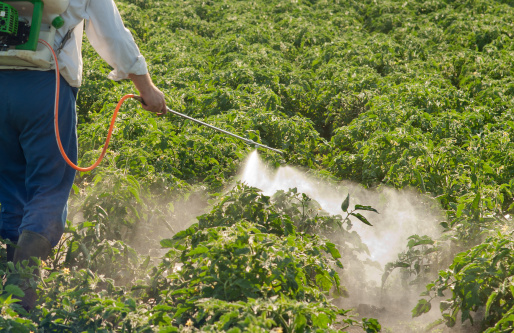 Трујемо се пестицидима и то по закону