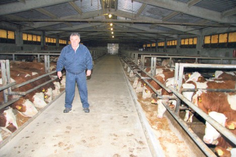 СТЕЧАЈ: Крај највеће фарме у Шумадији