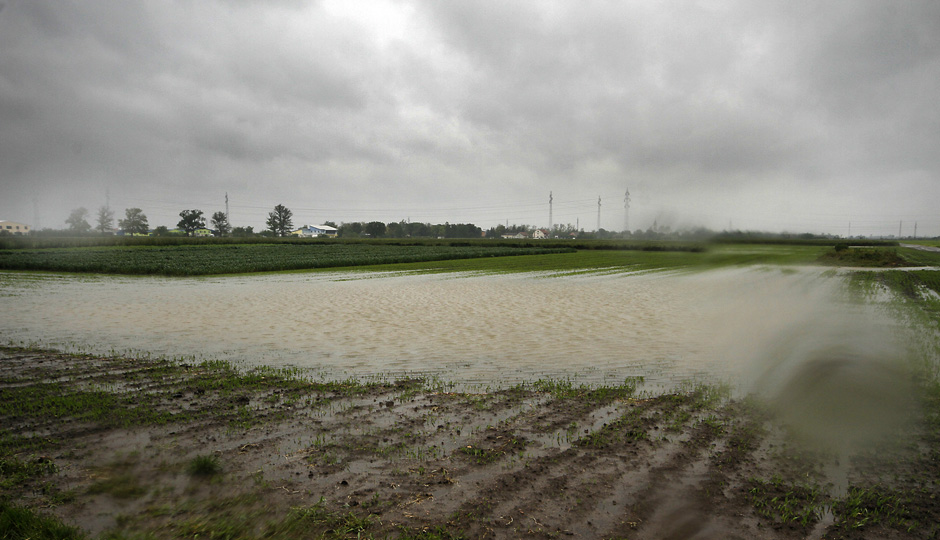 Поплаве су нанеле огромну штету пољопривреди