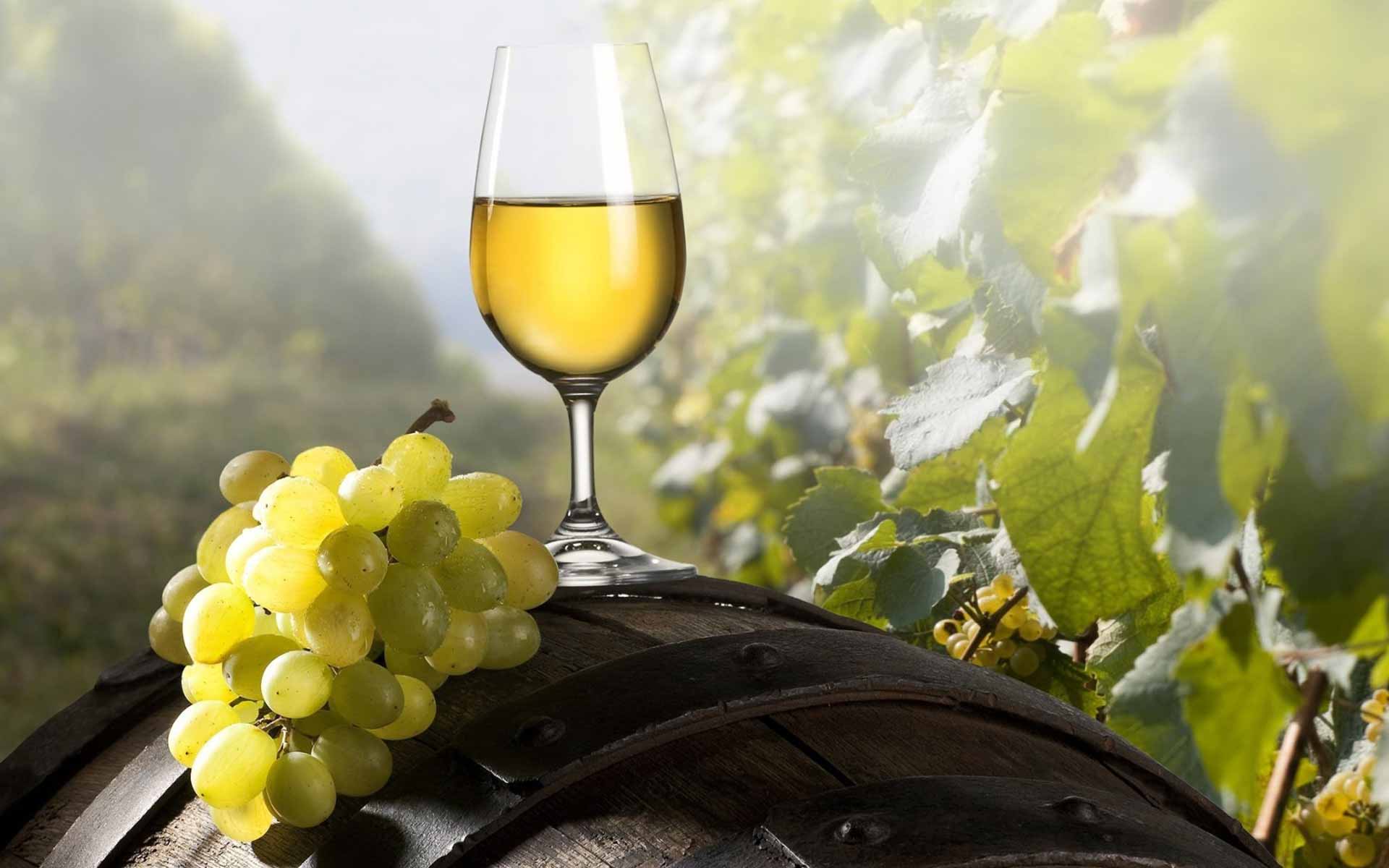 Србиjа да буде нова винска региjа, Шумадиjа српска Tоскана