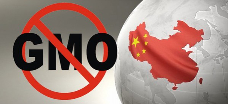 Кина одустаје од куповине америчких ГМО производа!