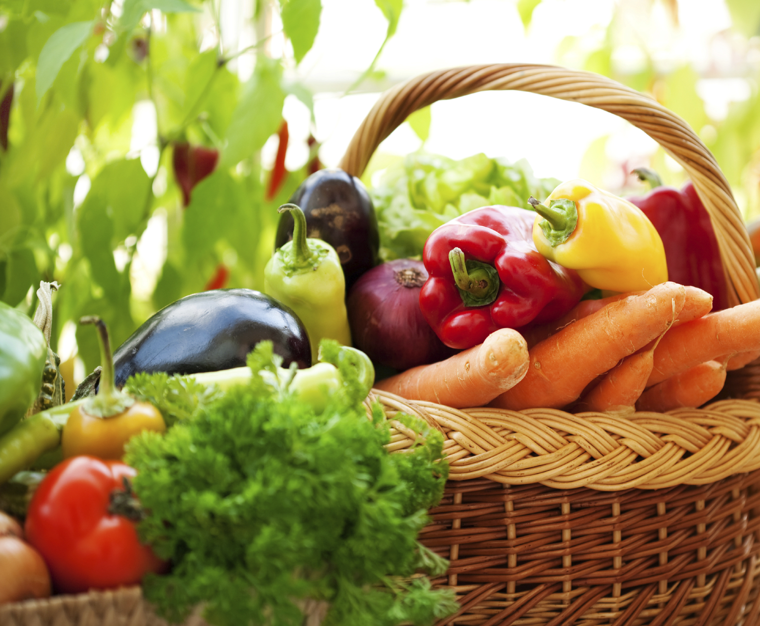 Органска храна скупа за домаће потрошаче