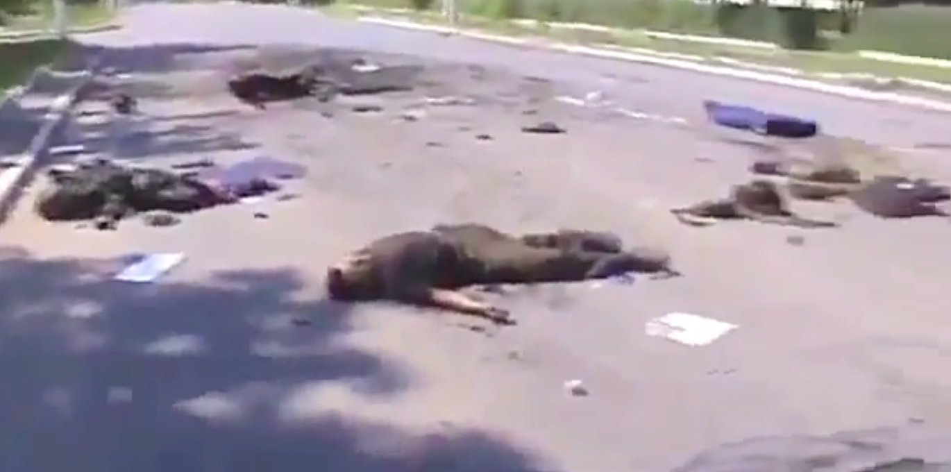 Остаци уништене 25-те и аеро-мобилне бригаде украјинске војске (видео 18+)