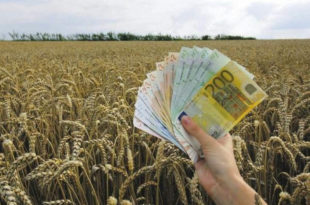 Миладин Шеварлић: Министарство пољопривреде закинуло пољоприведнике за 15 милијарди динара