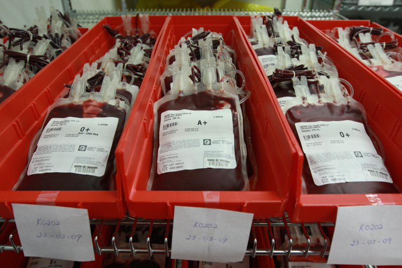 Србија годишње баци 40 тона крвне плазме, а за увоз плаћа 30 милиона евра