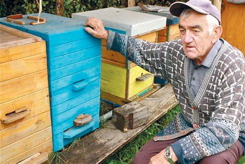 Модрича: Мистериозни нестанак пчела