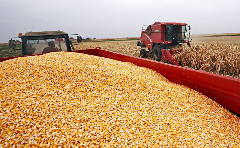 Србија извезла 2,1 милиjарда евра пољоприврених производа у 2014.