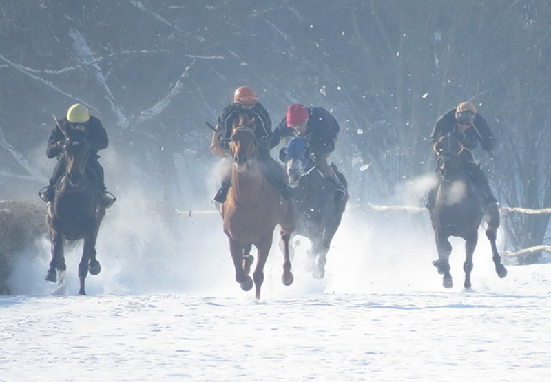 Шабац: Новогодишње коњичке трке