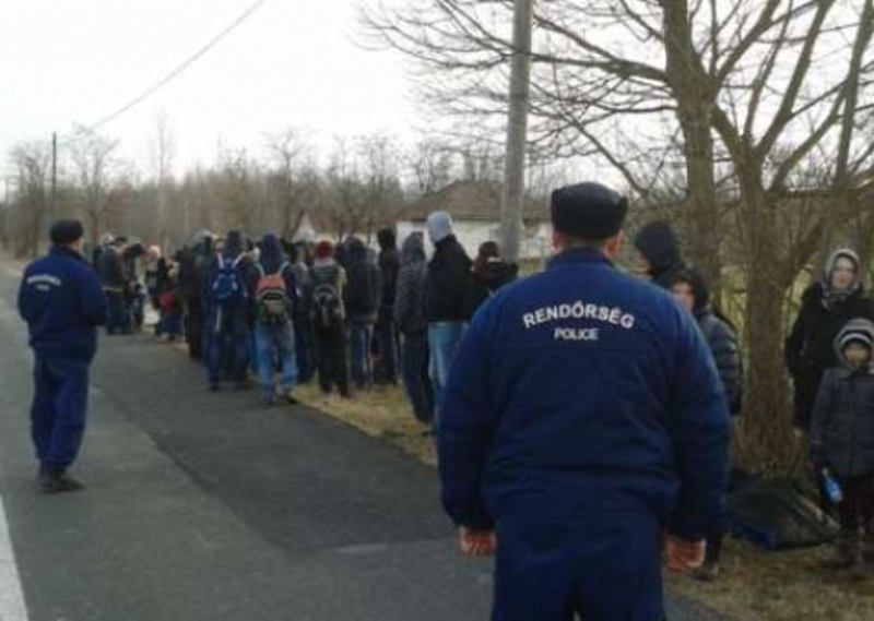 Мађарска шиптаре са границе враћа у Србију!