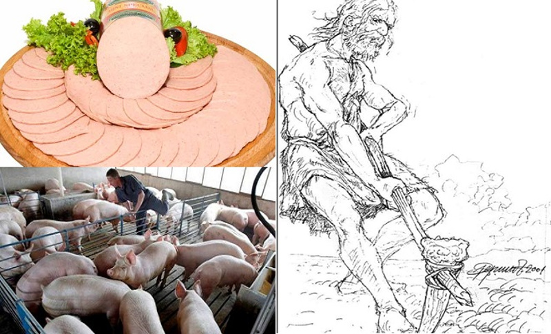 СРПСКИ СЕЉАК УПОЗОРАВА: Посебна кобасица кошта 179 дин кило, а кило живе мере свињетине 180 дин