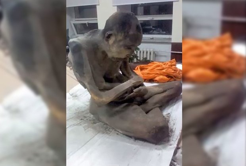 Пронађени мумифицирани свештеник за кога будисти верују да је жив (видео)