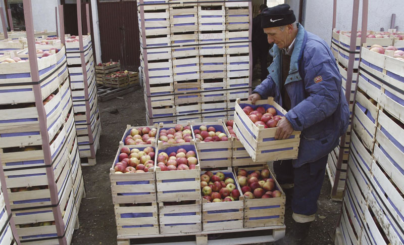 Чепурин: Извоз пољопривредних производа из Србије у Русију није угрожен
